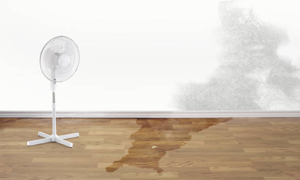 Best Residential water damage restoration  in Madison, AL
