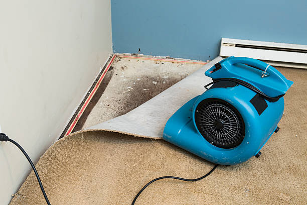 Best Fire Damage Restoration  in Madison, AL
